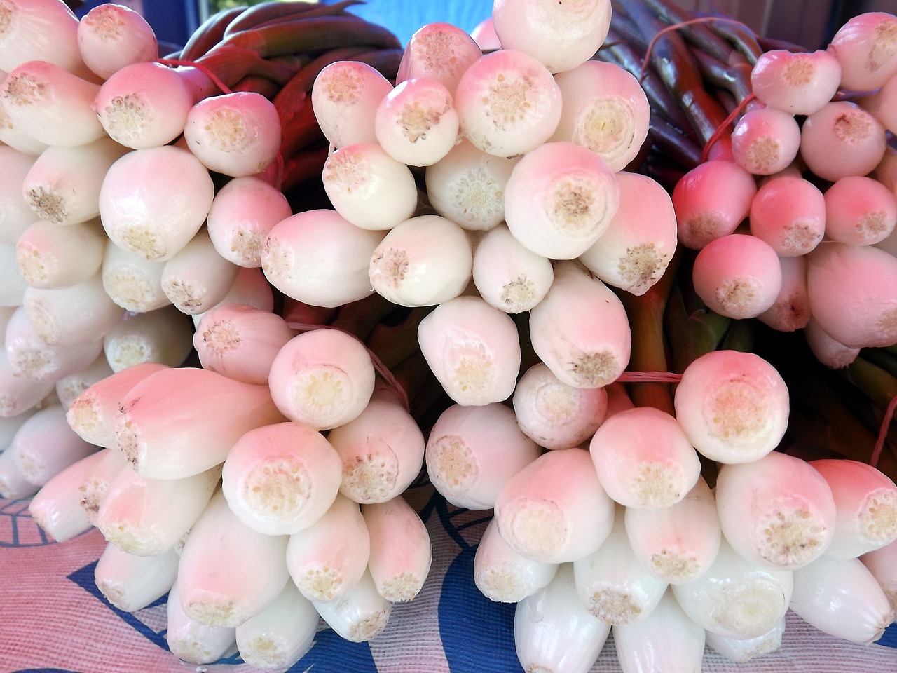 onions market vegetables free photo