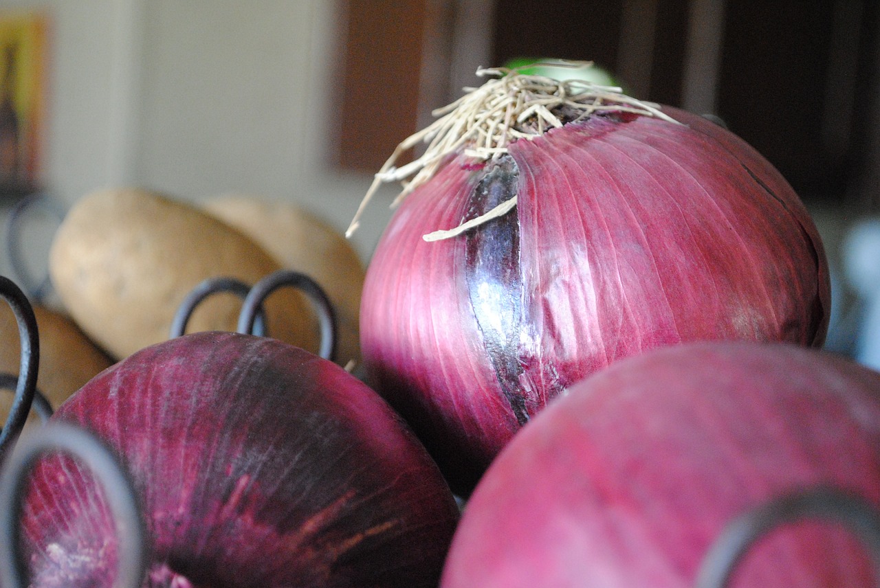 onions purple food free photo