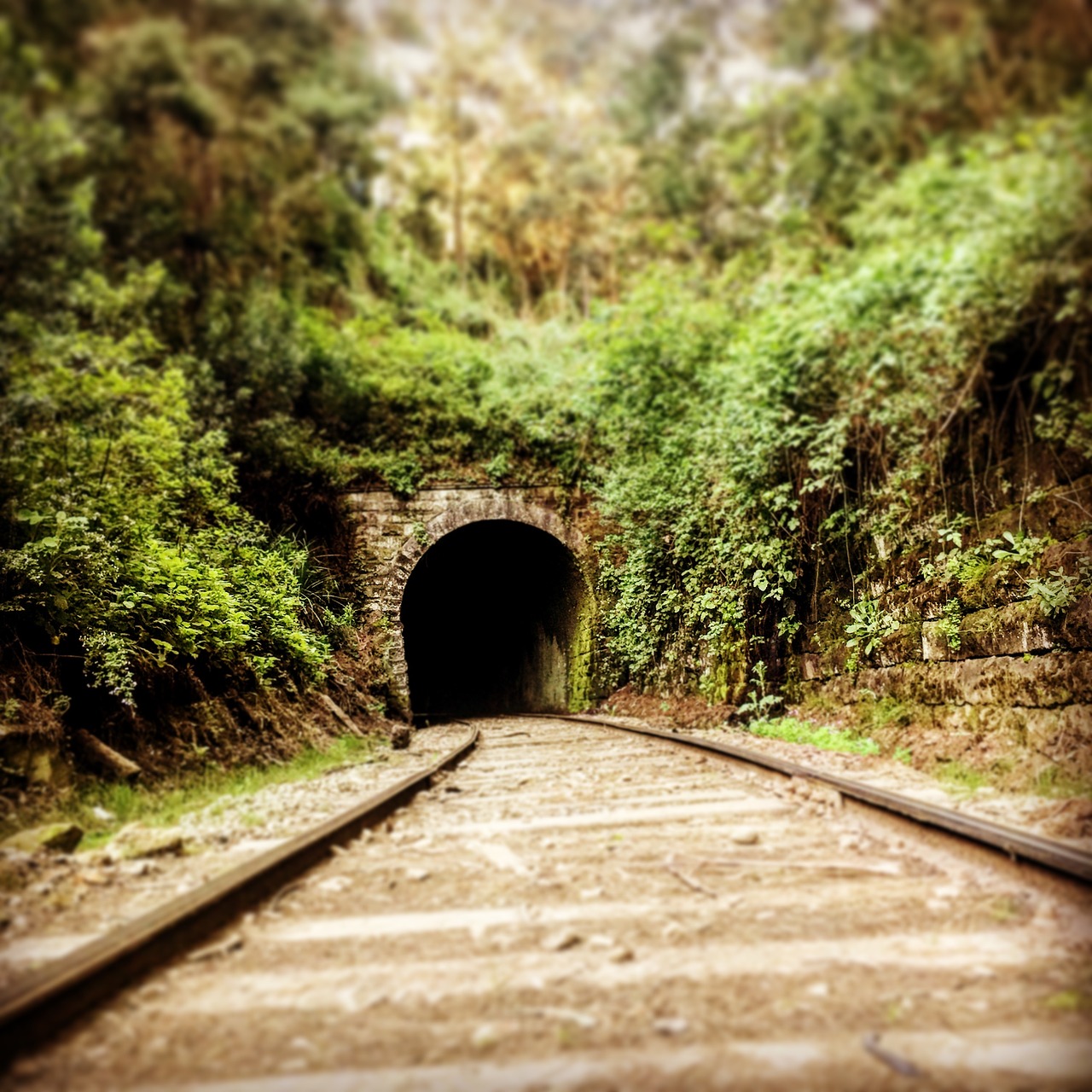 online train tunnel free photo