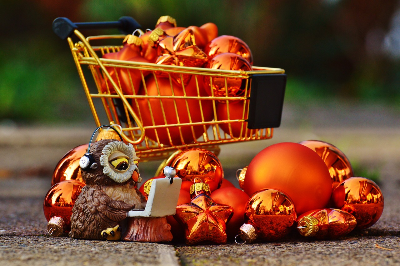 online shopping christmas shopping cart free photo
