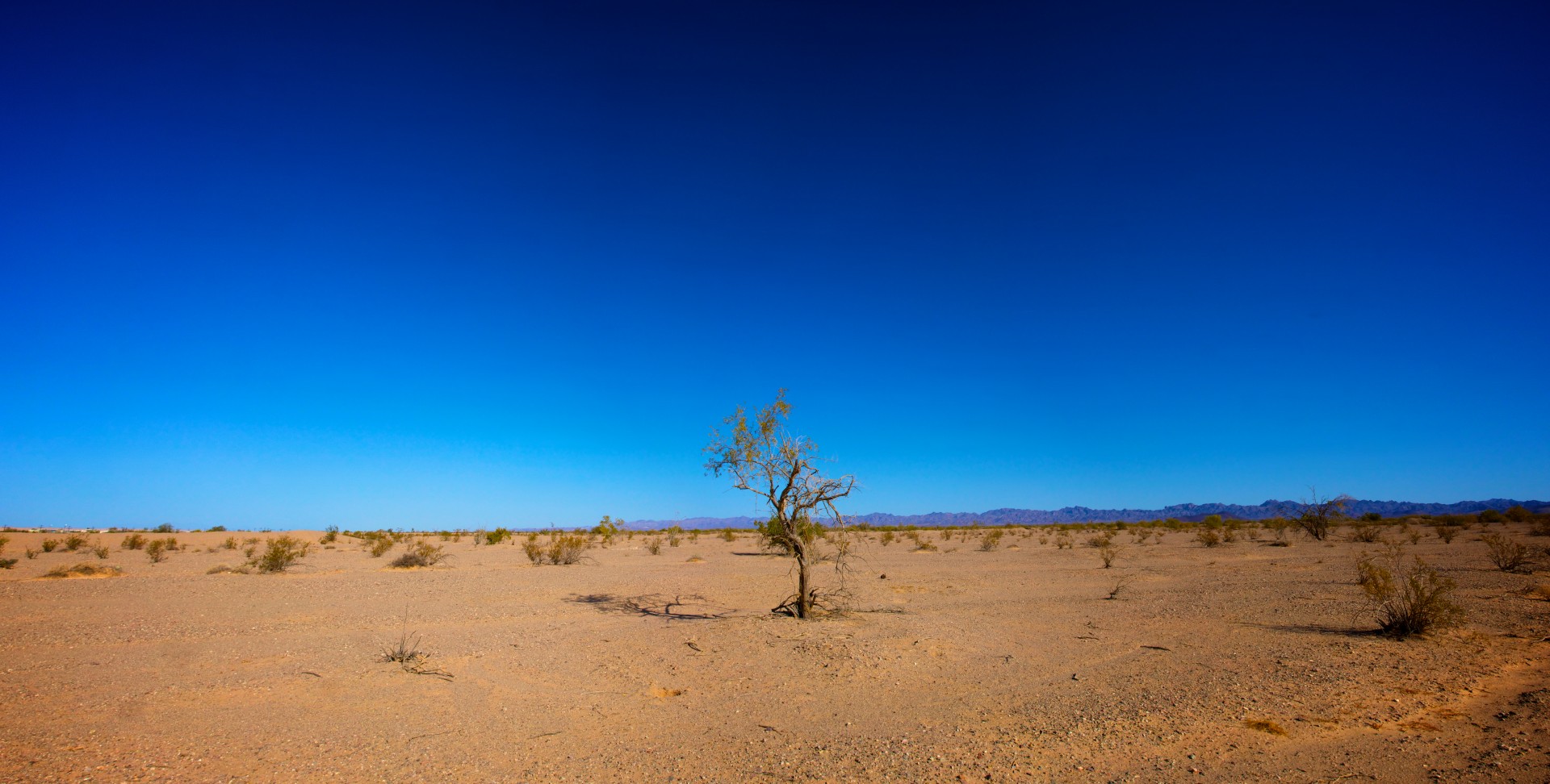 arid arizona california free photo