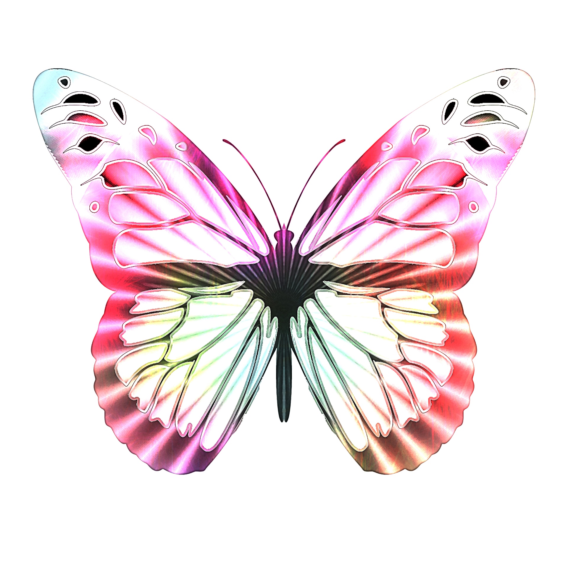 butterfly butterflies stained glass free photo