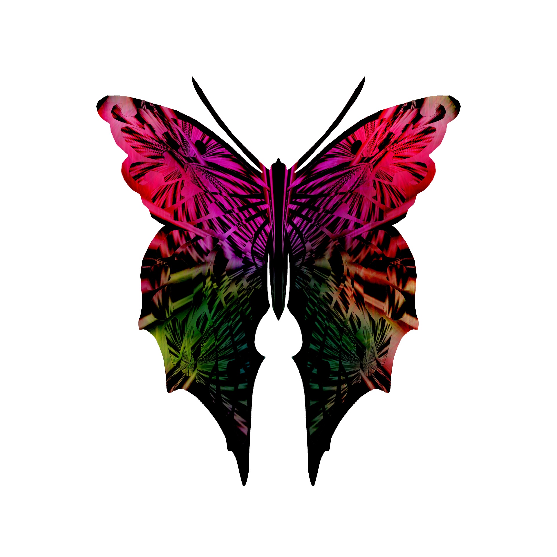 butterfly butterflies iridescent wings free photo
