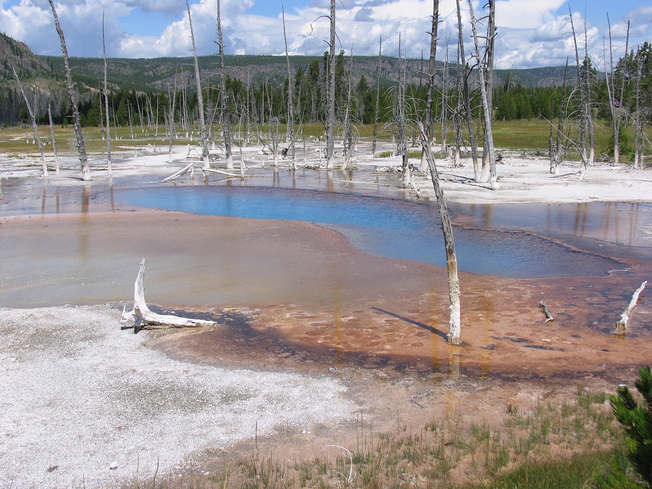 opalescent pool yellowstone free photo