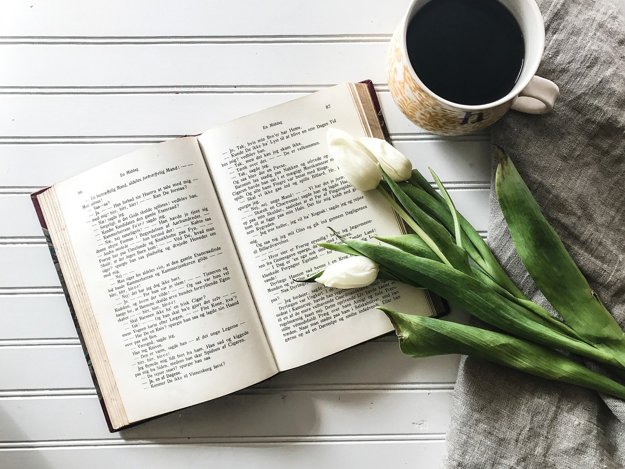 open book tulips from above free photo