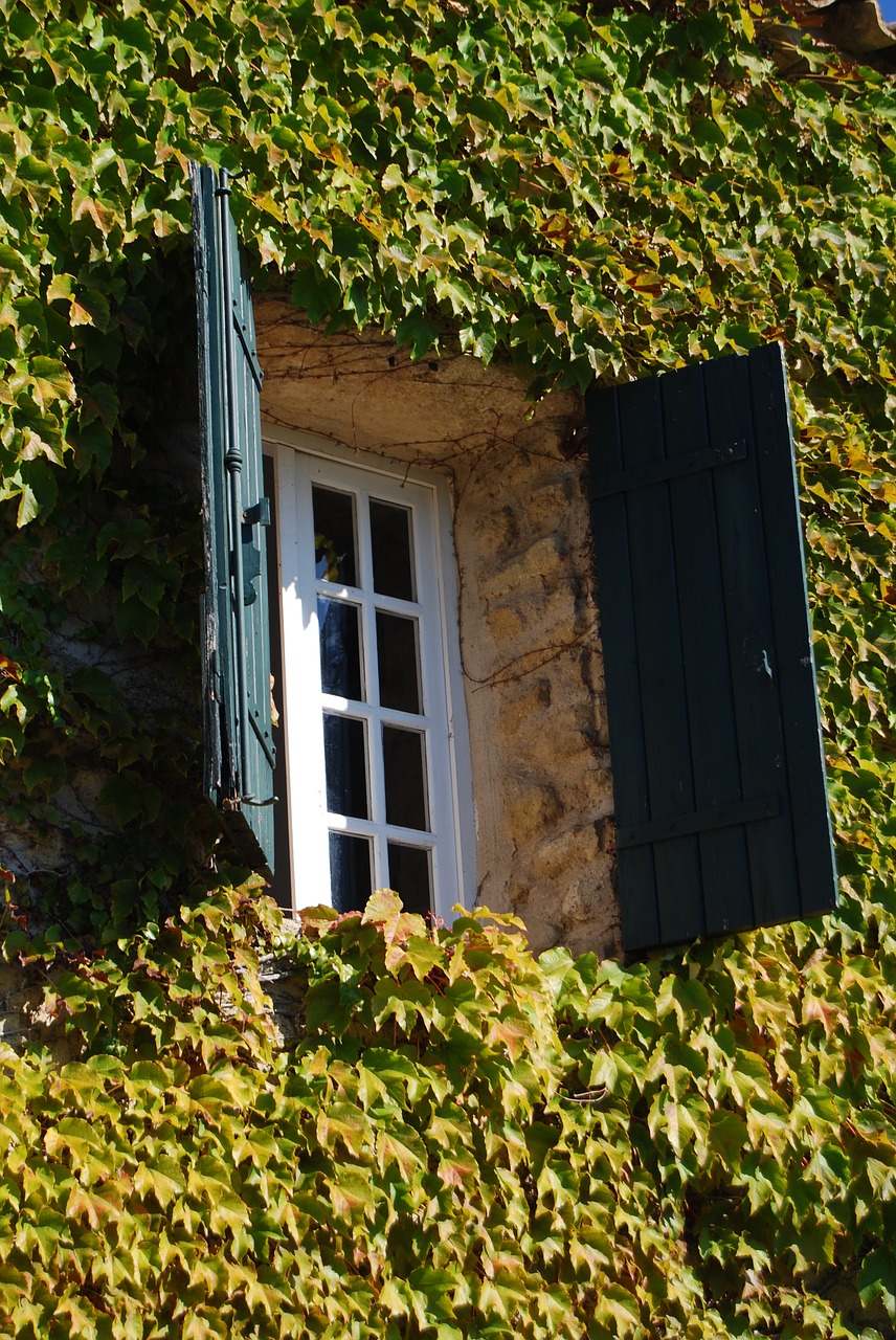 opening window shutters free photo