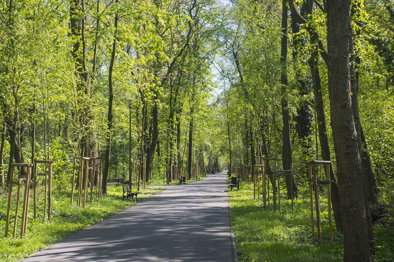 opole  the island bolko  the path free photo