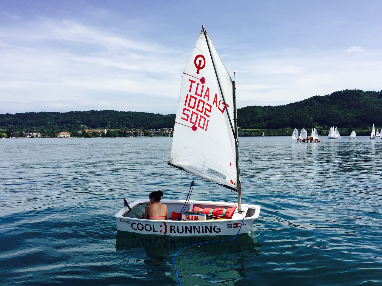 opti regatta lake constance free photo