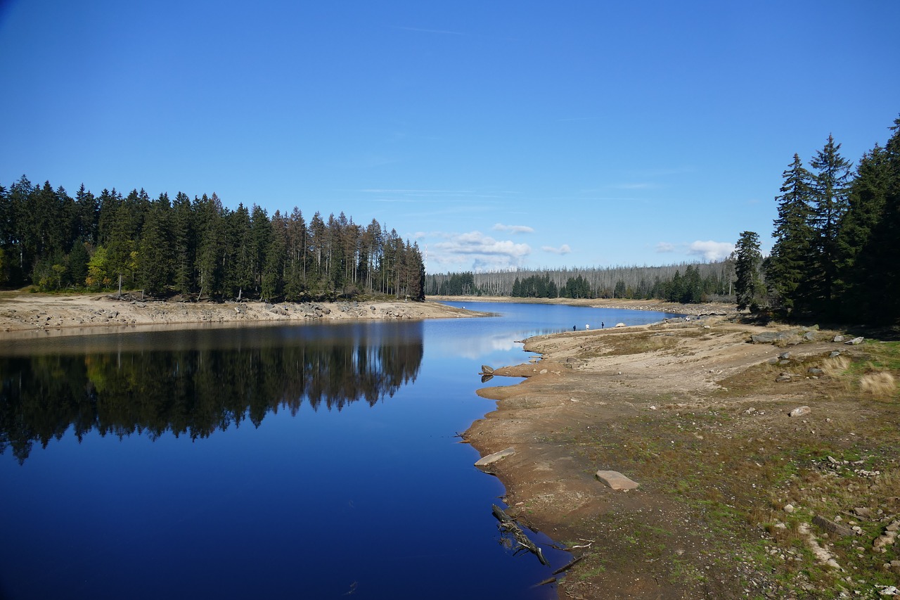 or pond dam braunlage free photo