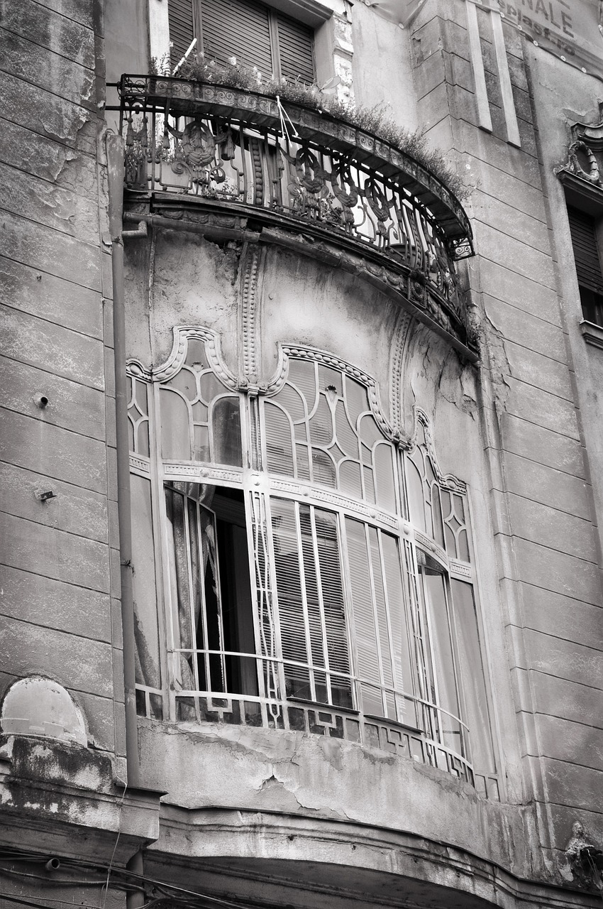 oradea window romania free photo