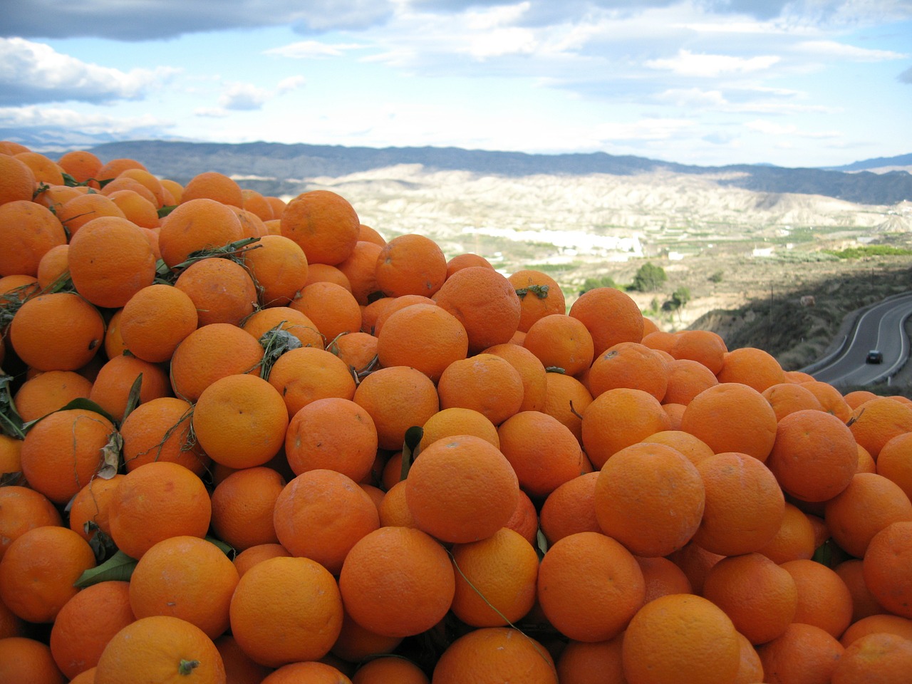 orange spain sunny free photo