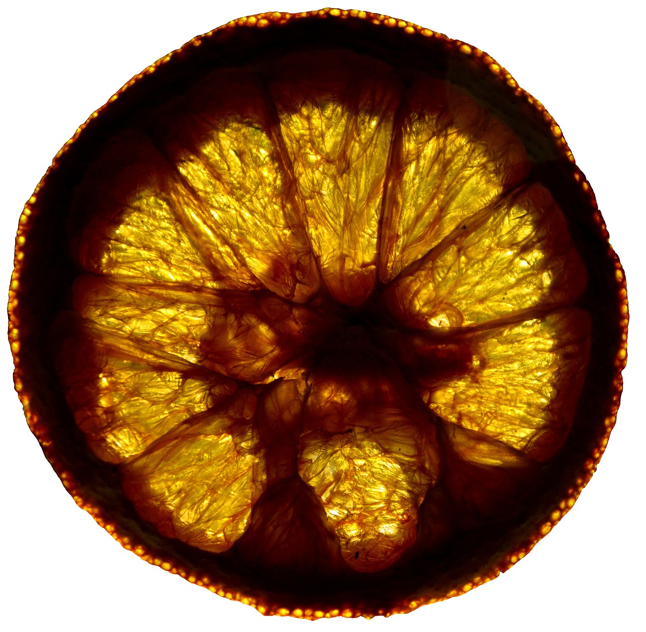 orange slice wheel free photo
