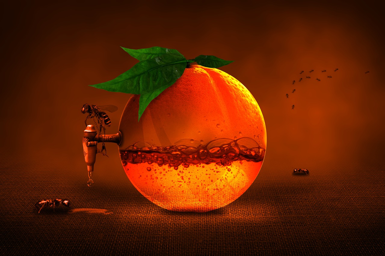 orange fruit citrus fruit free photo