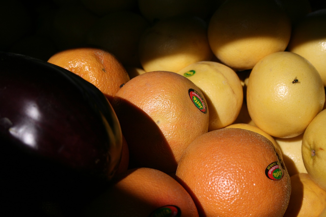 orange eggplant friuts free photo