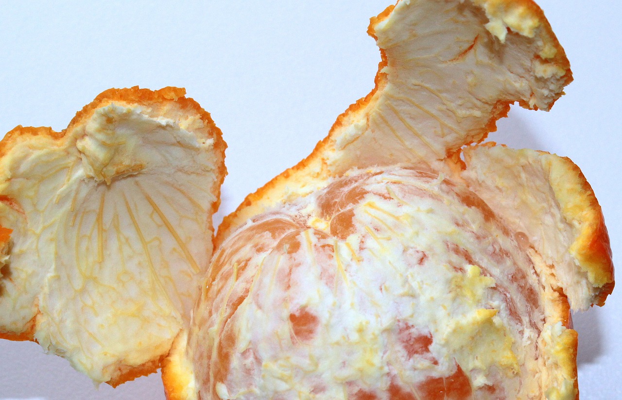orange fruit orange peel free photo