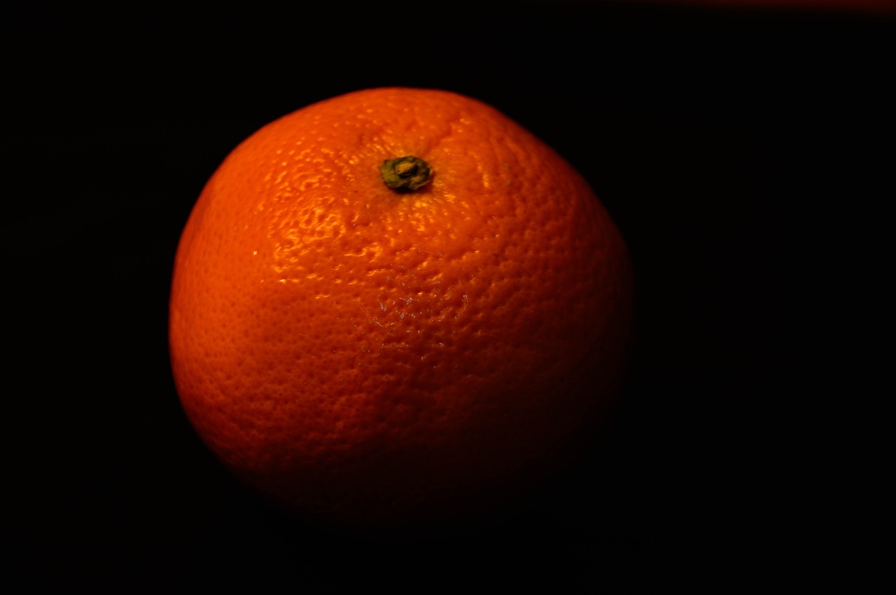 orange fruit citrus free photo
