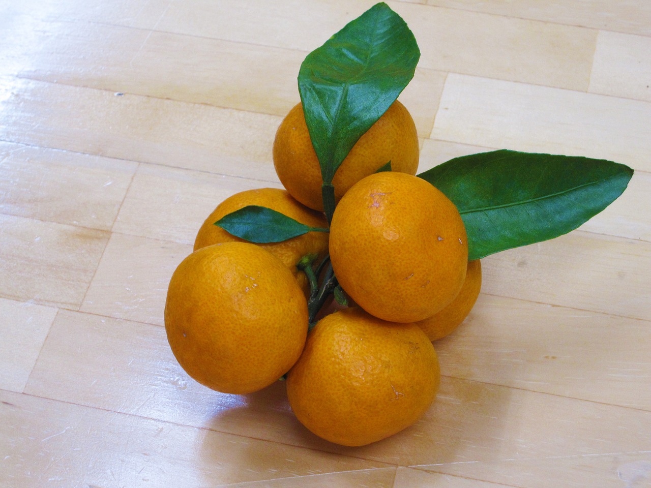 orange fruit suites free photo