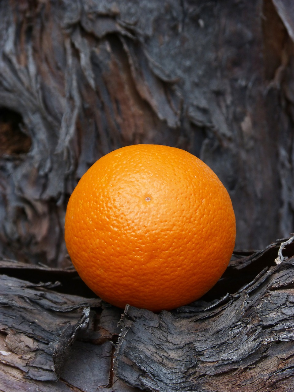 orange texture wood free photo