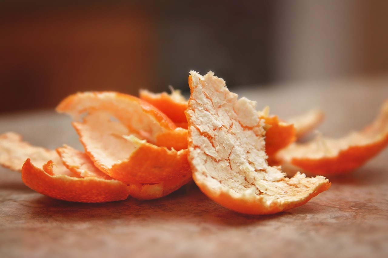 orange peel macro free photo