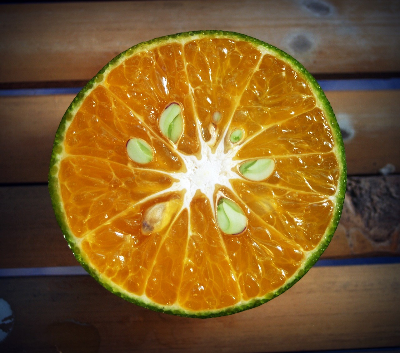 orange fruit slice free photo