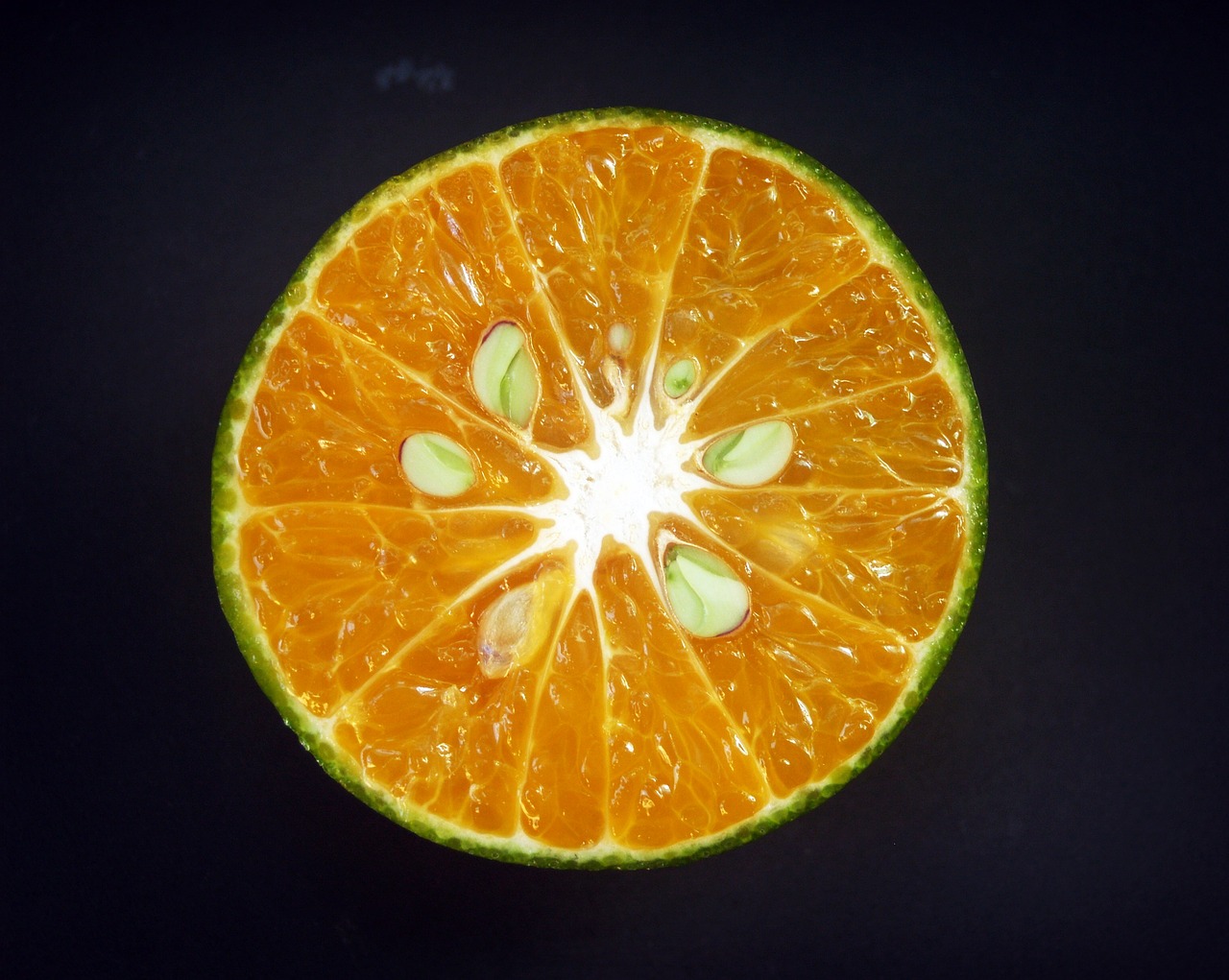 orange fruit slice free photo