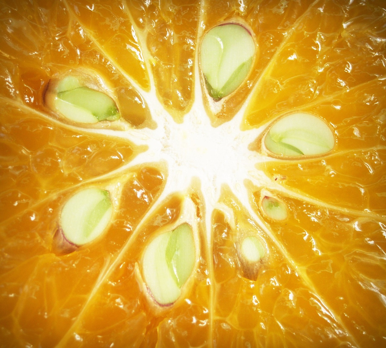 orange fruit slice free photo