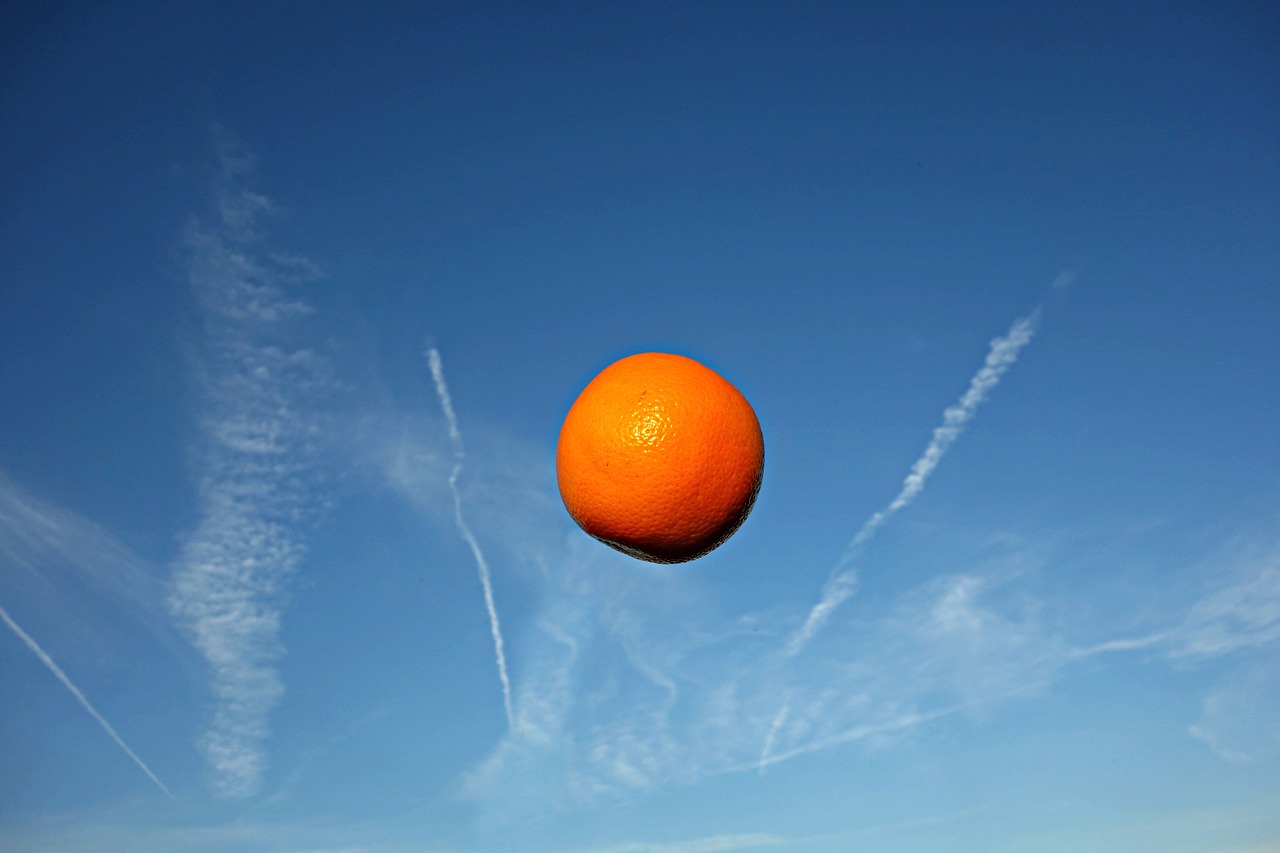 orange fruit food free photo