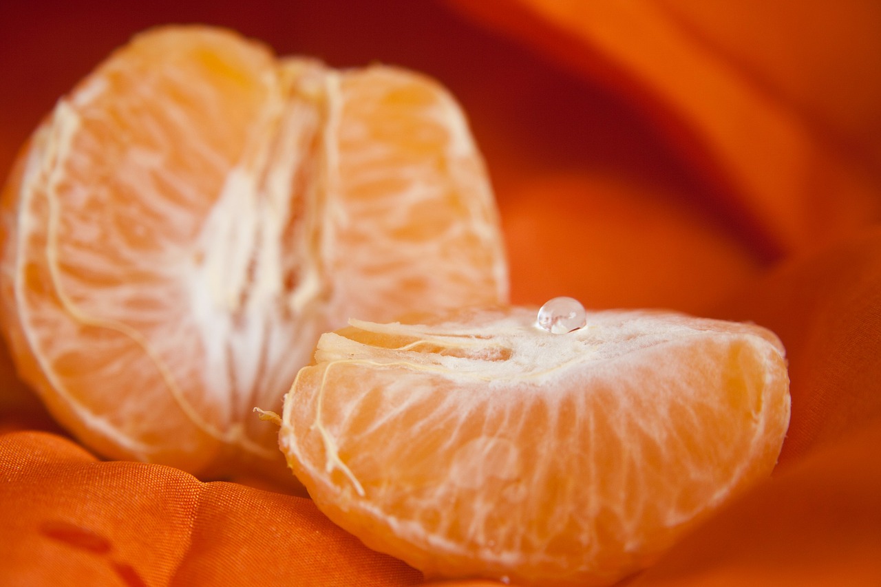 orange fruit slice free photo