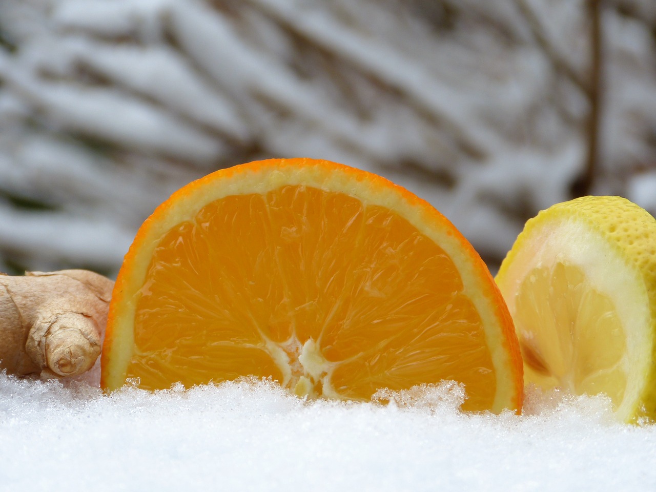 orange ginger lemon free photo