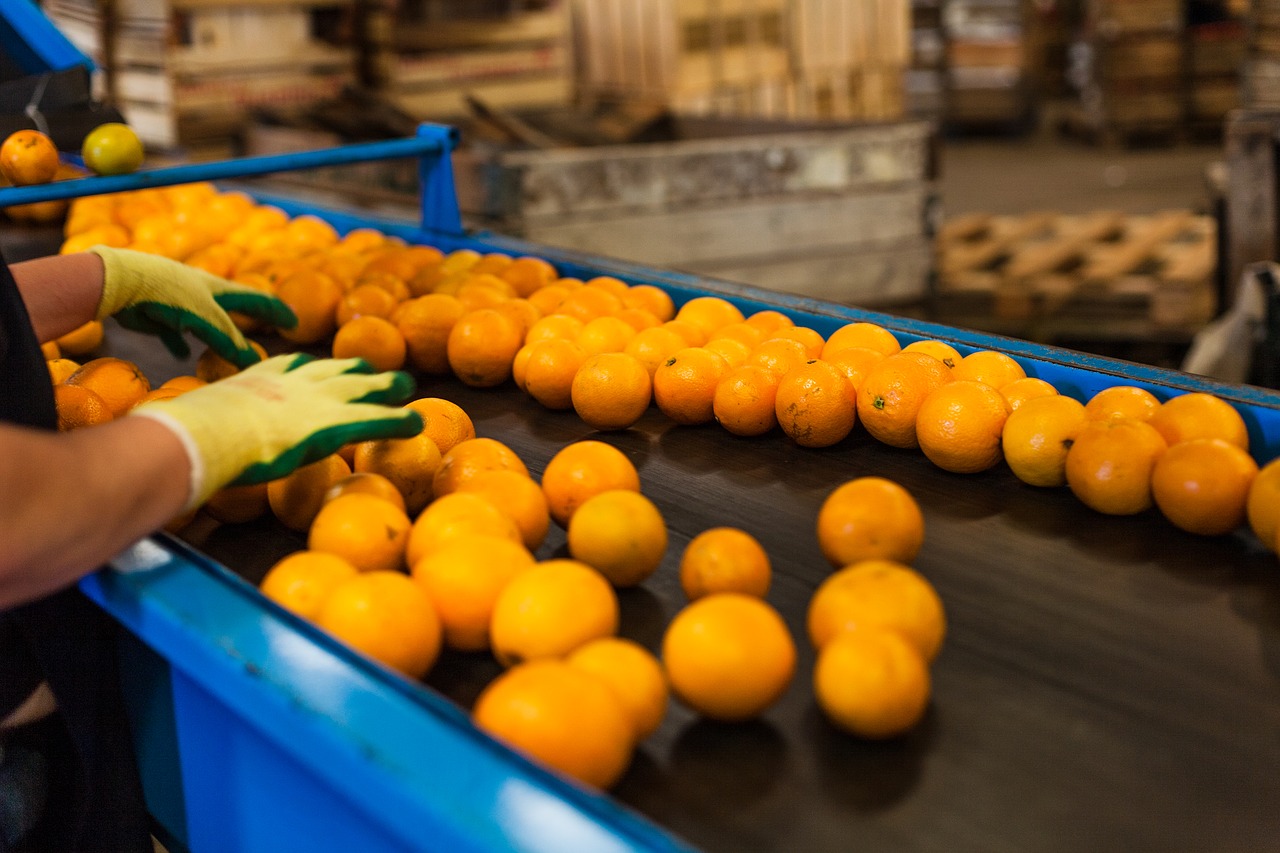 orange production packing free photo