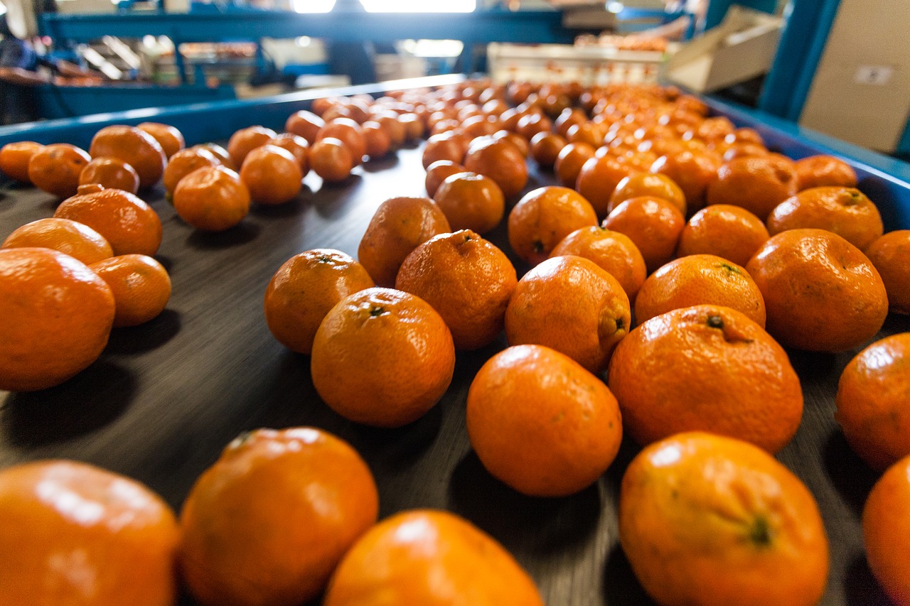 orange production packing free photo