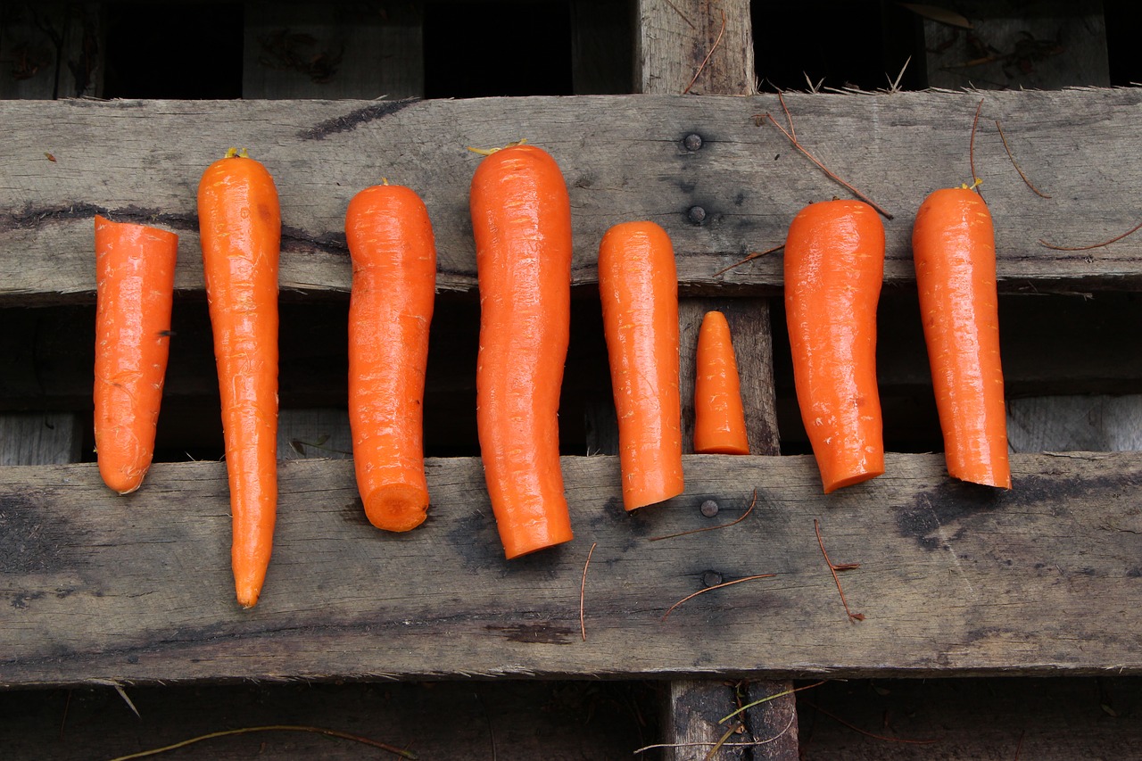 orange wood carrots free photo