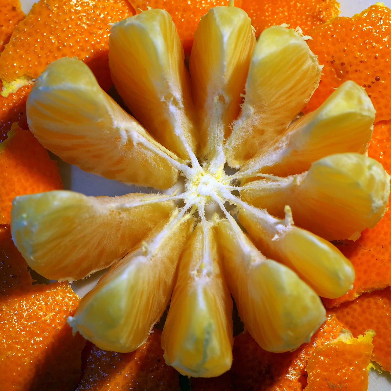 orange mandarin fruit free photo