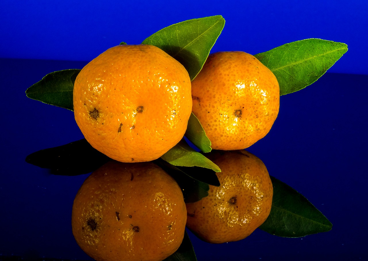 orange mandarin fruit free photo