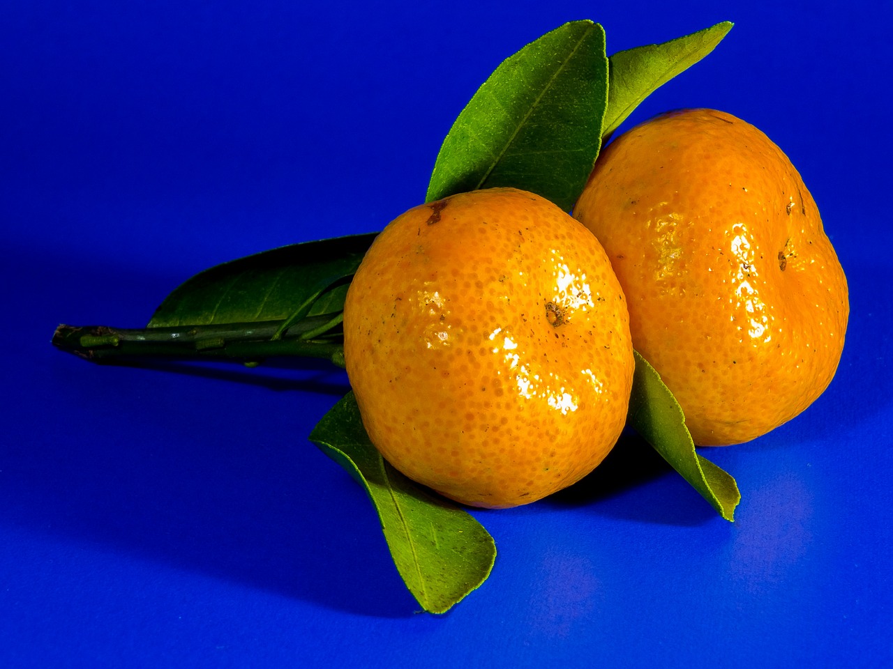 orange mandarin fruit free photo