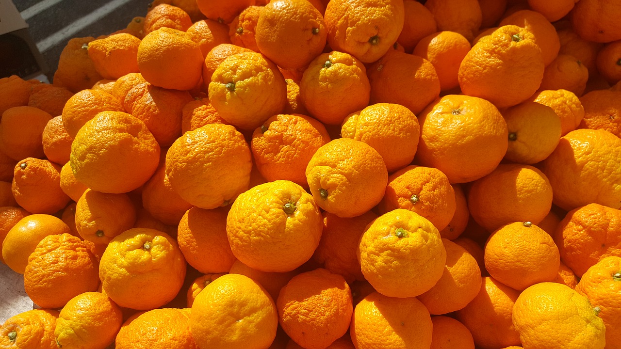 orange california sunshine free photo