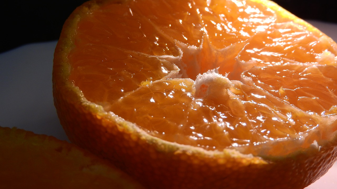 orange cut fruit free photo