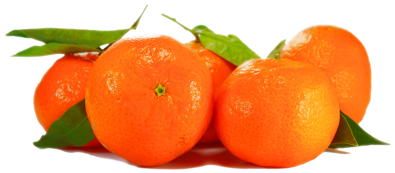 orange isolated fruit free photo