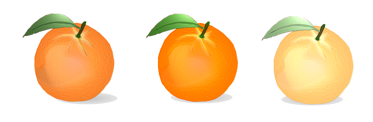 orange vector citrus fruits free photo