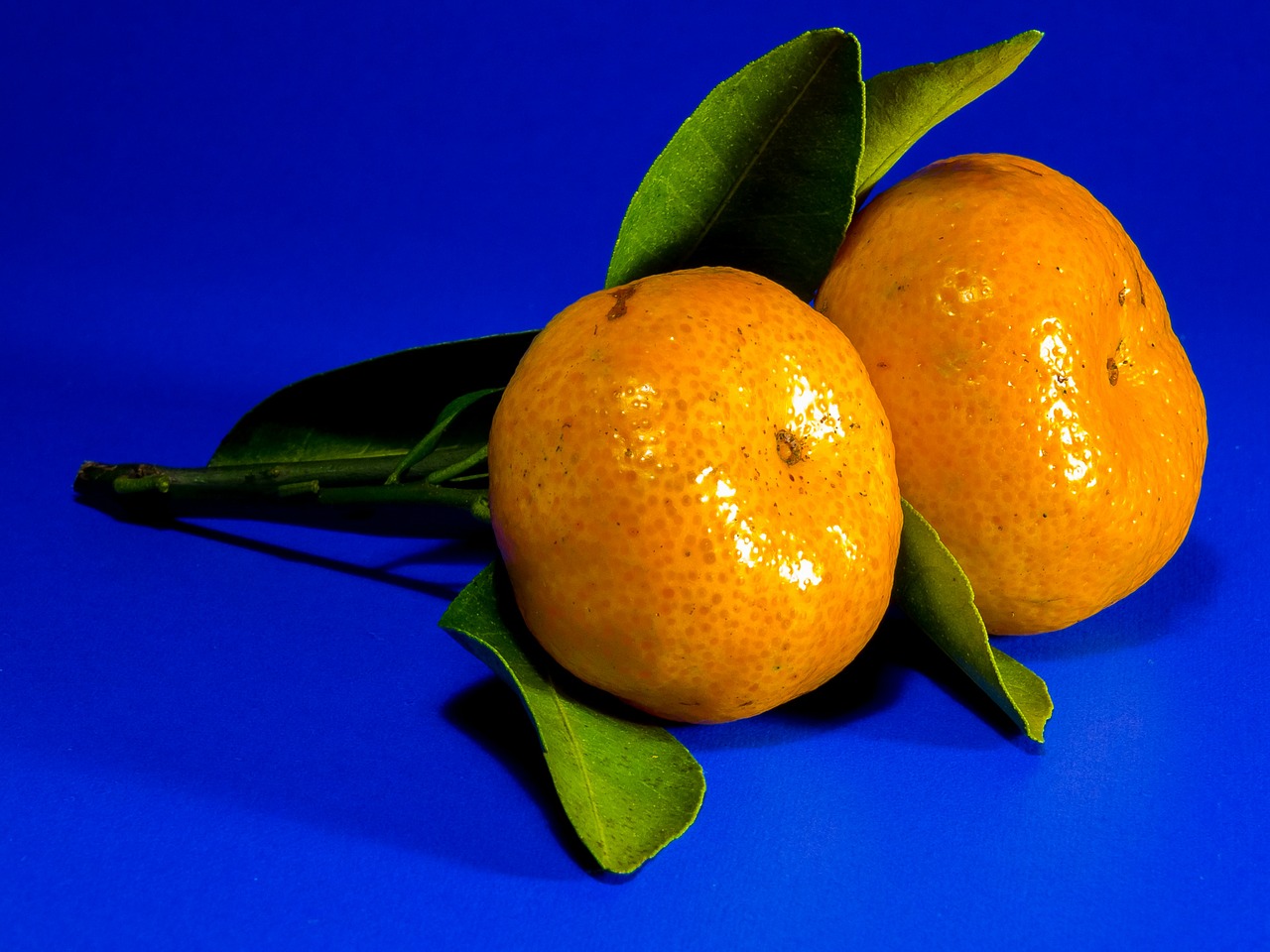 orange mandarin citrus fruit free photo