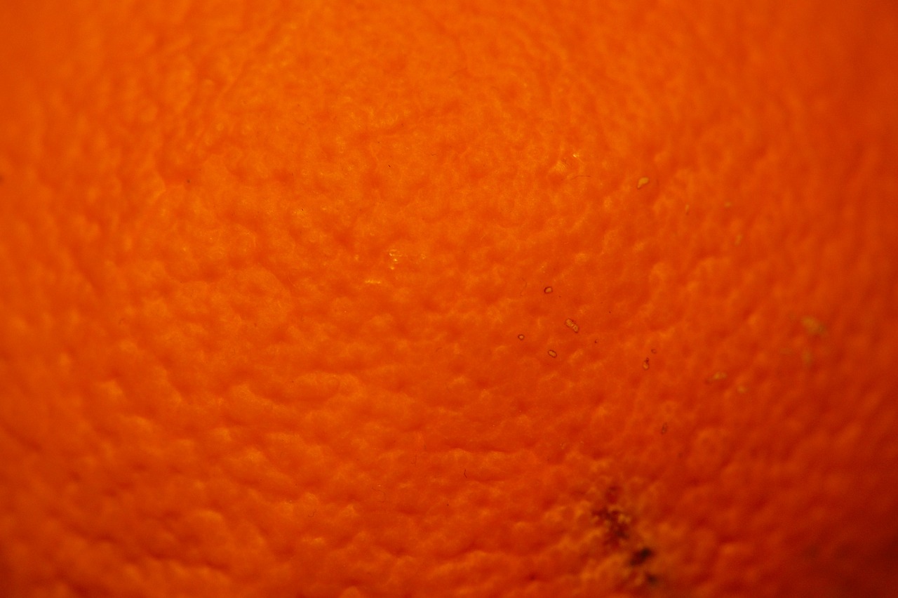 orange orange peel fruit free photo