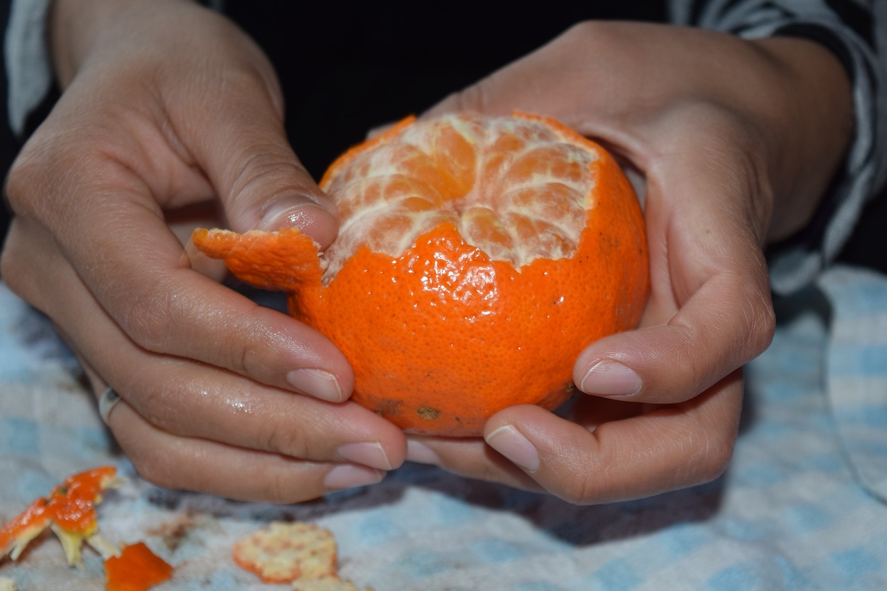 orange tangerine peel free photo