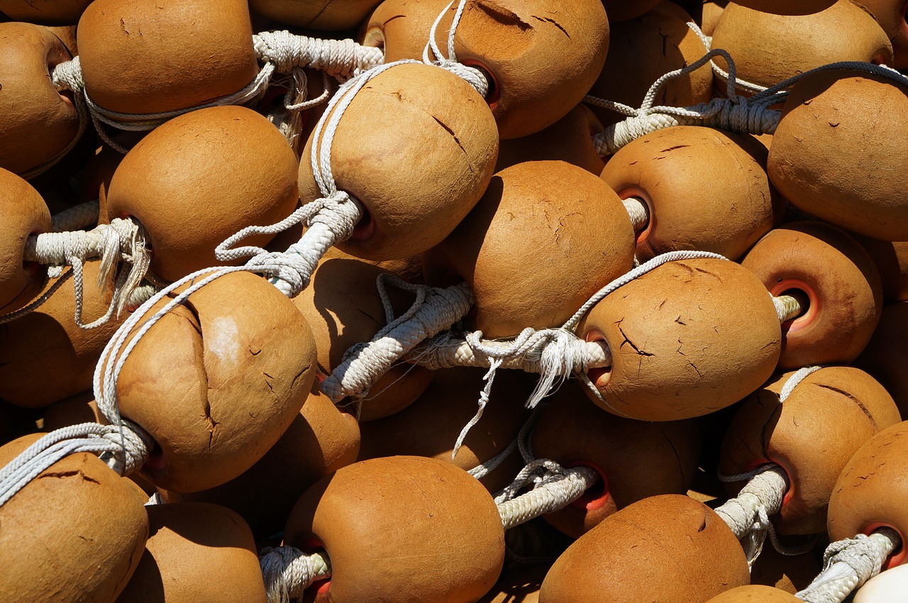 orange fishing floats free photo