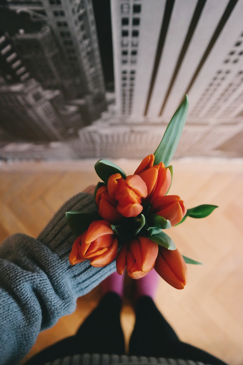 orange flower petal free photo