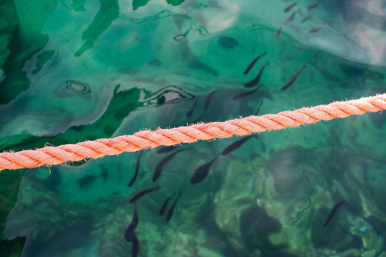 orange rope underwater free photo