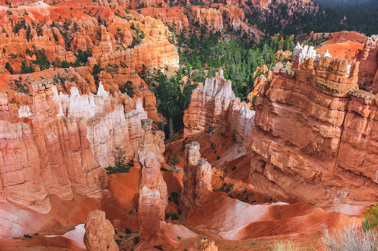 orange rock formation free photo