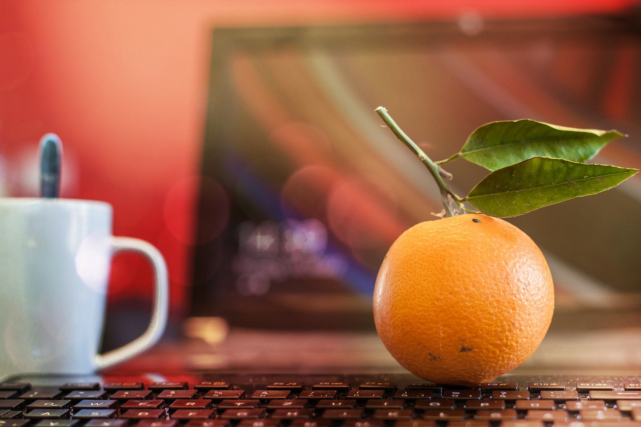 orange office fruit free photo
