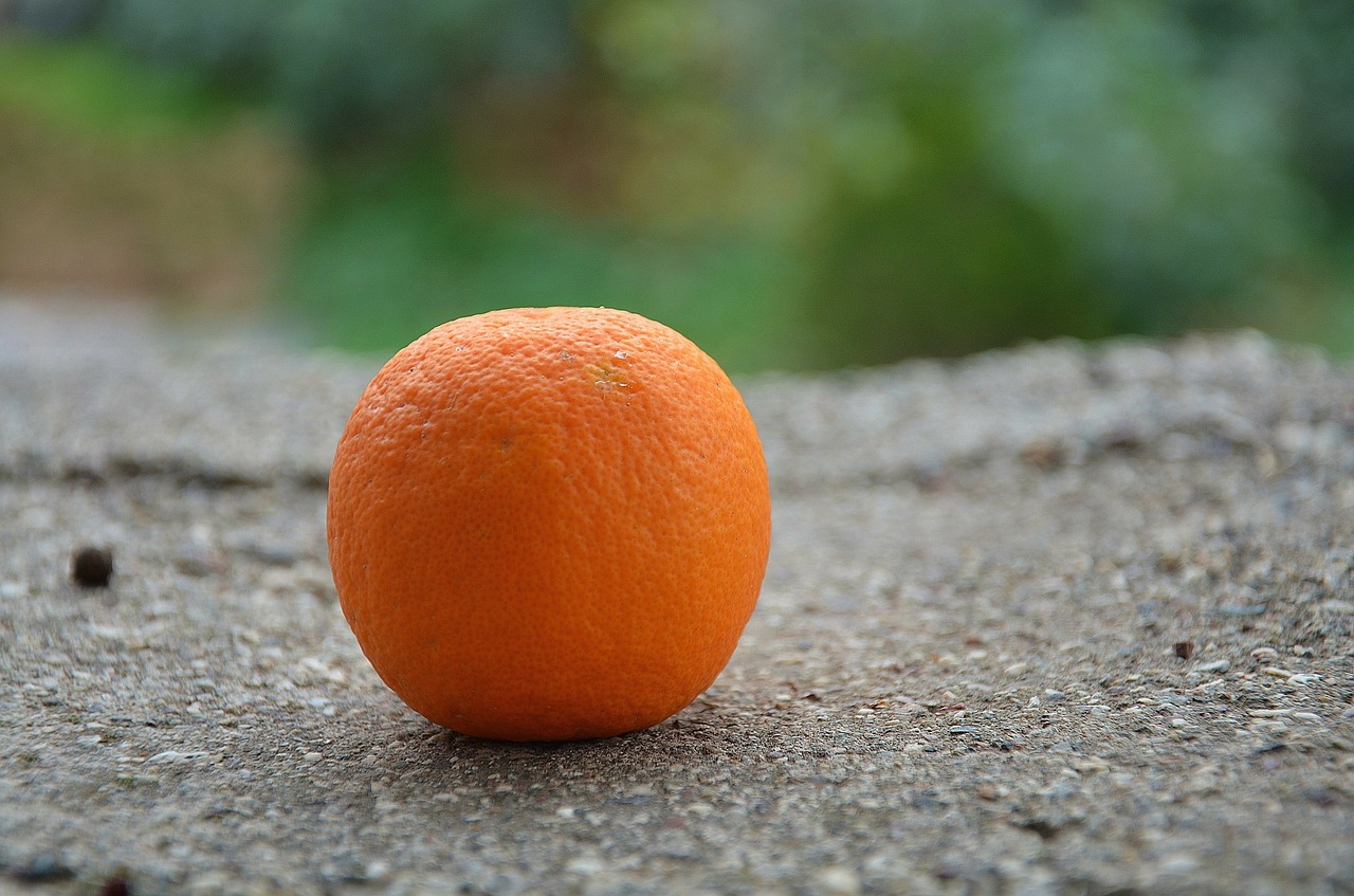 orange fruits citrus free photo