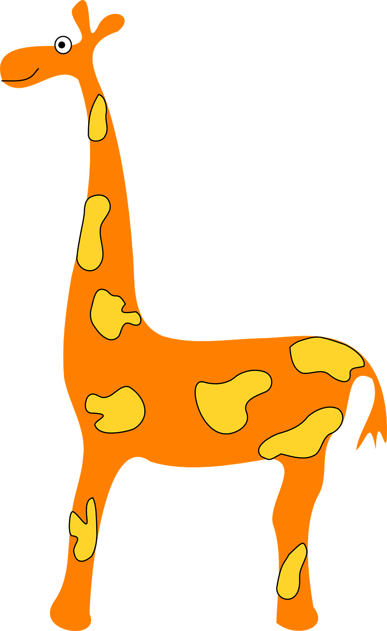 orange giraffe animal free photo