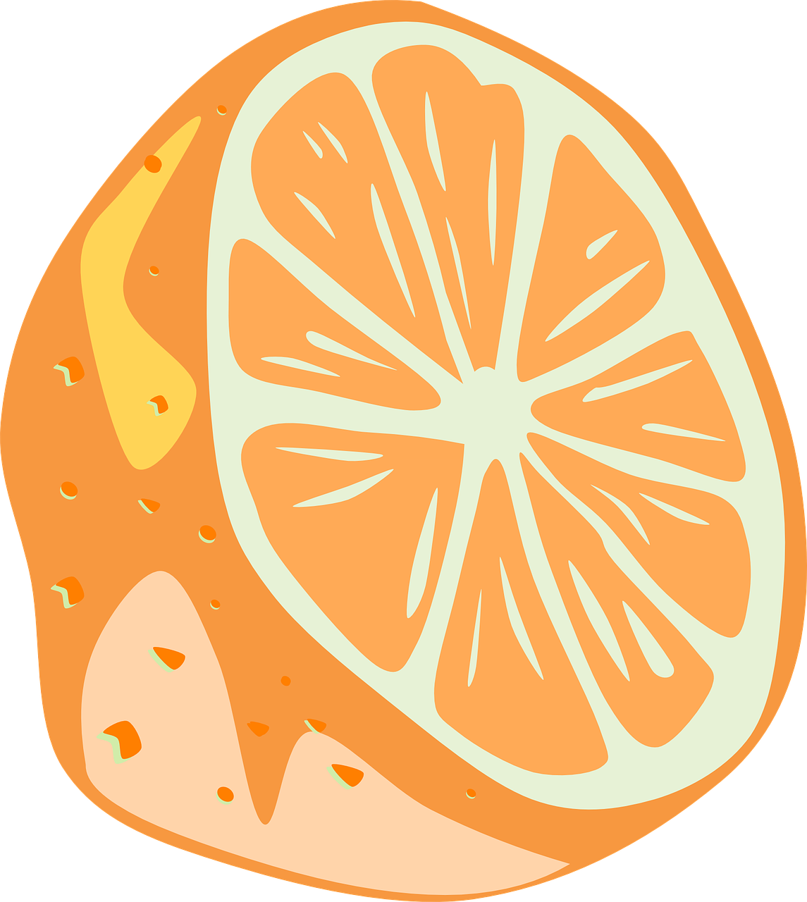orange half slice free photo